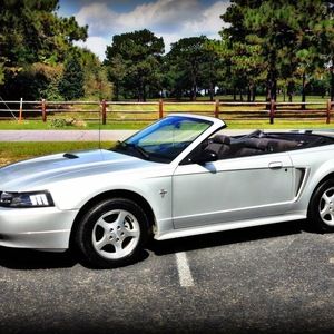 Meet your Posher, Jen